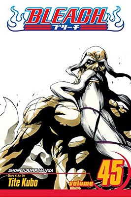Bleach, Vol. 45: The Burnout Inferno-..