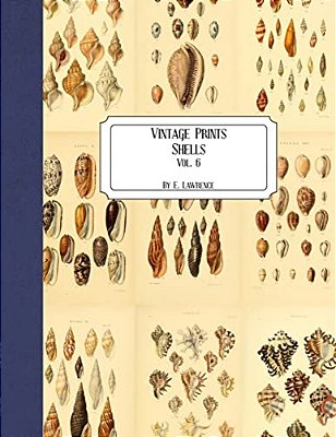 Vintage Prints: Shells: Vol. 6-..