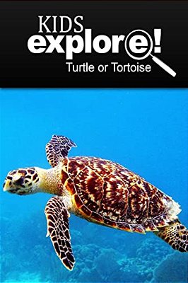 Turtle Or Tortoise - Kids Explore: Animal Books Nonfiction - Books Ages 5-6-..