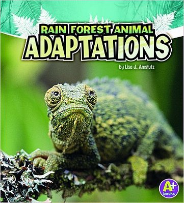 Rain Forest Animal - Adaptations-..