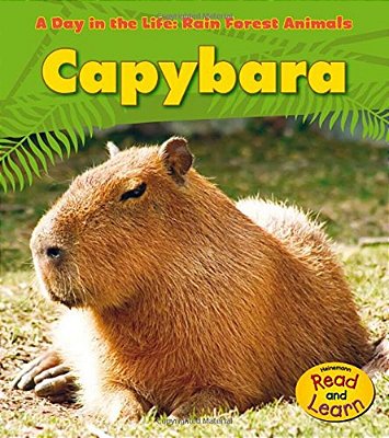 Capybara (A Day In The Life)-..