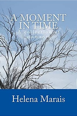 A Moment In Time: A Collection Of Moments-..