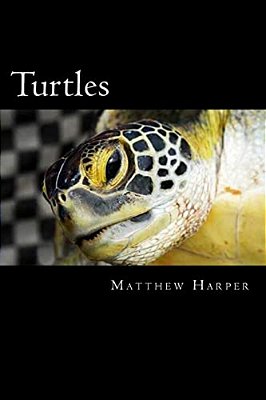 Turtles: A Fascinating Book Containing Turtle Facts, Trivia, Images & Memory Recall Quiz: Suitable For Adults & Children-..