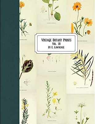 Vintage Botany Prints: Vol. 18-..