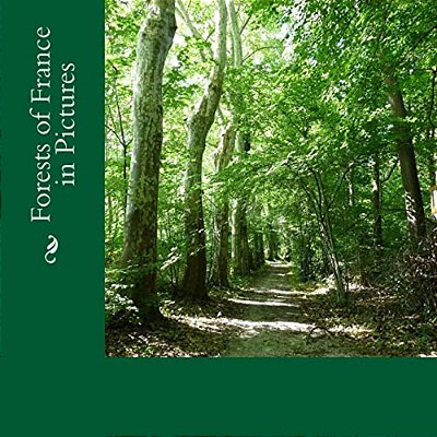Forests Of France In Pictures: A Text-Free Picture Book For Alzheimer'S, Seniors, Children-..