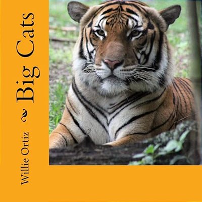 Big Cats-..