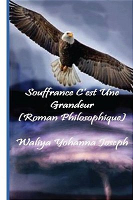 Souffrance C'Est Une Grandeur: Roman Philosophique-..