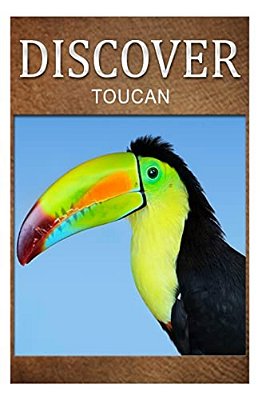 Toucan - Discover: Early Reader's Wildlife Photography Book-..