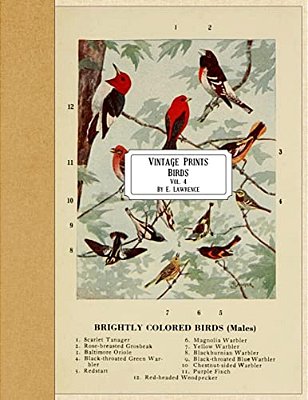 Vintage Prints: Birds: Vol. 4-..