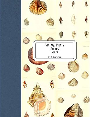 Vintage Prints: Shells: Vol. 3-..
