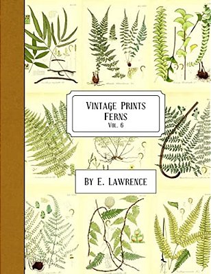 Vintage Prints: Ferns: Vol. 6-..
