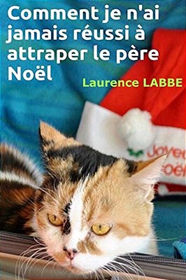 Comment Je N'Ai Jamais Réussi À Attraper Le Père Noël-..