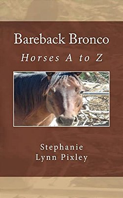 Bareback Bronco-..