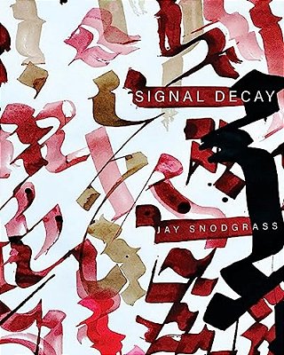 Signal Decay-..