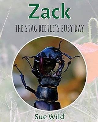 Zack: The Stag Beetle's Busy Day-..