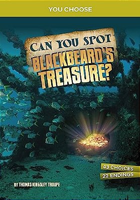 Can You Spot Blackbeard's Treasure?: An Interactive Treasure Adventure-..