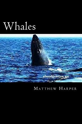 Whales: A Fascinating Book Containing Whale Facts, Trivia, Images & Memory Recall Quiz: Suitable For Adults & Children-..