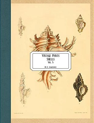 Vintage Prints: Shells: Vol. 5-..