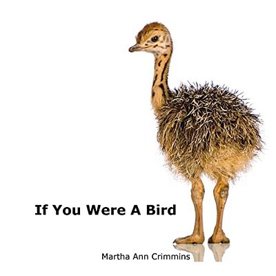 If You Were A Bird-..