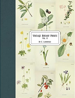 Vintage Botany Prints: Vol. 8-..