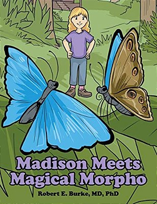 Madison Meets Magical Morpho-..