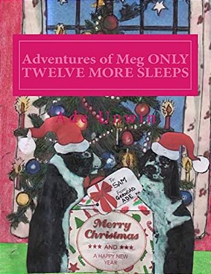 Adventures Of Meg Only Twelve More Sleeps-..