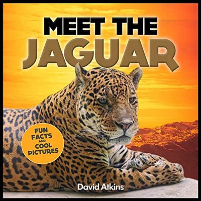 Meet The Jaguar: Fun Facts & Cool Pictures-..