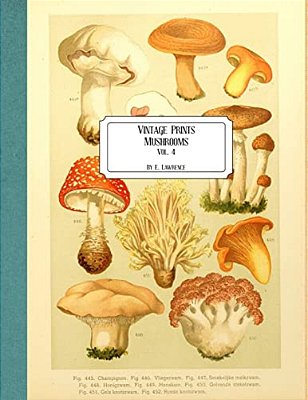 Vintage Prints: Mushrooms: Vol. 4-..
