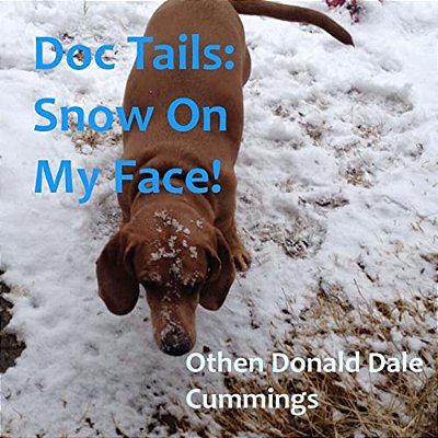 Doc Tails: Snow On My Face!-..