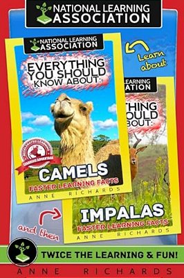 Everything You Should Know About: Camels And Impalas-..