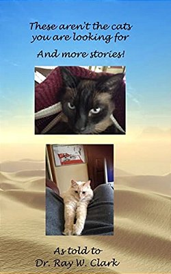 These Aren't The Cats You Are Looking For-..