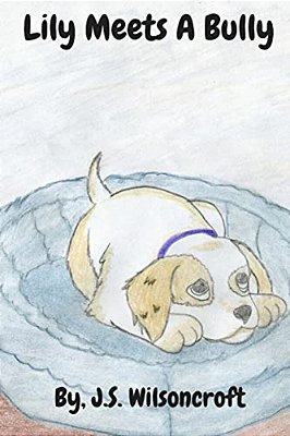 Lily Meets A Bully-..