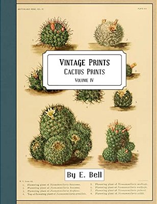 Vintage Prints: Cactus Prints-..