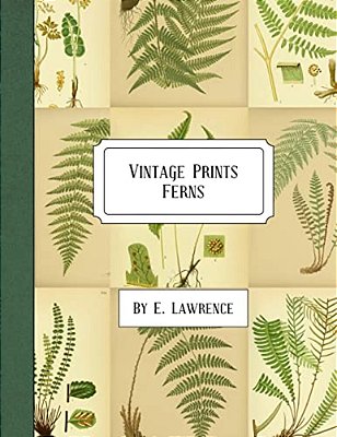 Vintage Prints: Ferns-..