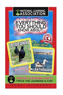 Everything You Should Know About Pigeons And Albatrosses-..