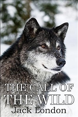The Call Of The Wild: (Mockingbird Classics)-..