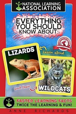 Everything You Should Know About Lizards And Wildcats-..