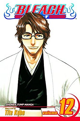 Bleach, Vol. 12: Flower On The Precipice-..