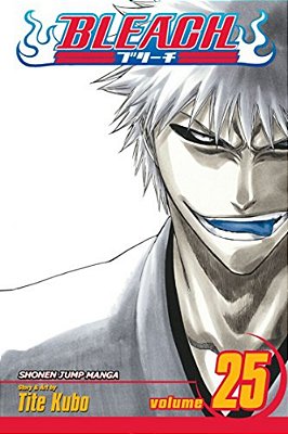 Bleach, Vol. 25: No Shaking Throne-..
