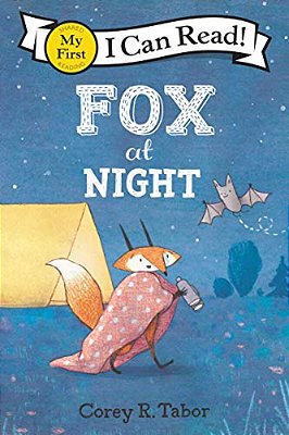 Fox At Night-..