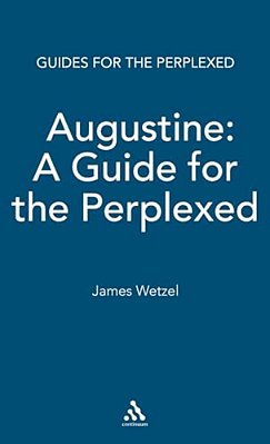Augustine: A Guide For The Perplexed-..