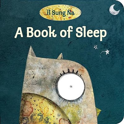 A Book Of Sleep-..