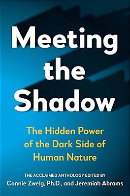 Meeting The Shadow: The Hidden Power Of The Dark Side Of Human Nature-..