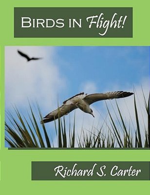 Birds In Flight!-..