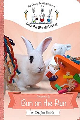 Bun On The Run: The Bunnyrific Adventures Of Juni The Wonderbunny-..