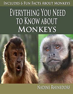 Everything You Need To Know About Monkeys-..