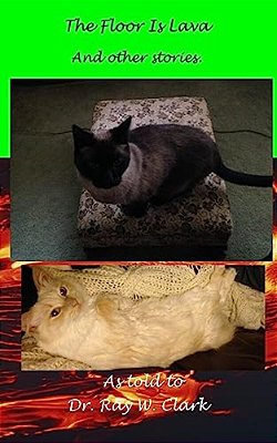 The Floor Is Lava-..