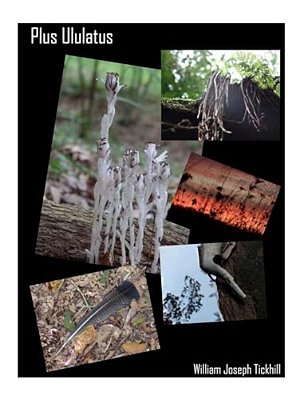 Plus Ululatus-..
