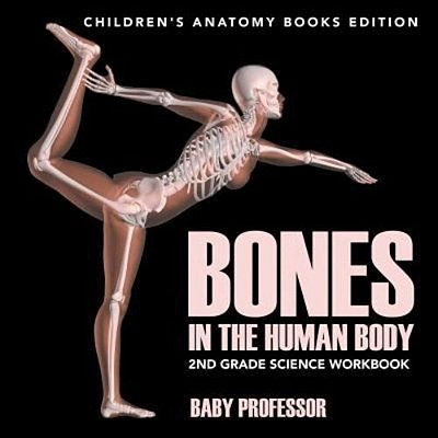 Bones In The Human Body: 2ND Grade Science Workbook Children's Anatomy Books Edition-..