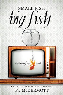 Small Fish Big Fish: A Coming Of Age Novel-..